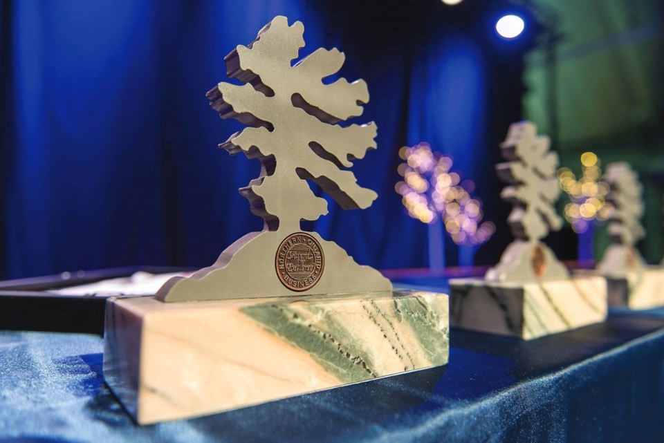 Dr. Nadia Mykytczuk received the 36th annual Northern Ontario Business Award